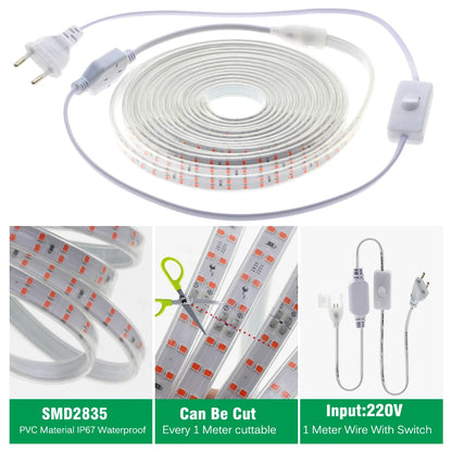 LED Grow Strip Full Spectrum Double Row Lamp Beads LED Grow Light AC220V Phyto Lamp for Plants Flowers Greenhouses Hydroponic