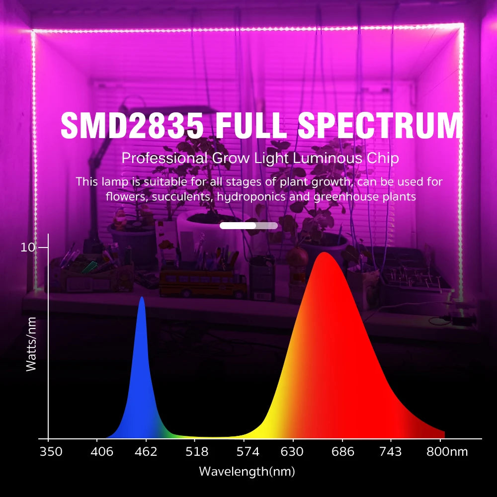 LED Grow Strip Full Spectrum Double Row Lamp Beads LED Grow Light AC220V Phyto Lamp for Plants Flowers Greenhouses Hydroponic