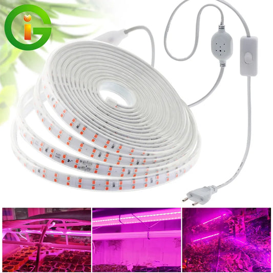 LED Grow Strip Full Spectrum Double Row Lamp Beads LED Grow Light AC220V Phyto Lamp for Plants Flowers Greenhouses Hydroponic