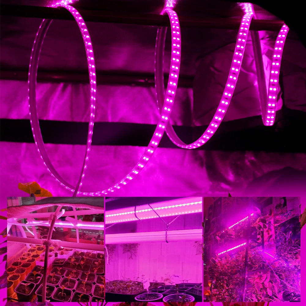 LED Grow Strip Full Spectrum Double Row Lamp Beads LED Grow Light AC220V Phyto Lamp for Plants Flowers Greenhouses Hydroponic