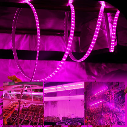 LED Grow Strip Full Spectrum Double Row Lamp Beads LED Grow Light AC220V Phyto Lamp for Plants Flowers Greenhouses Hydroponic