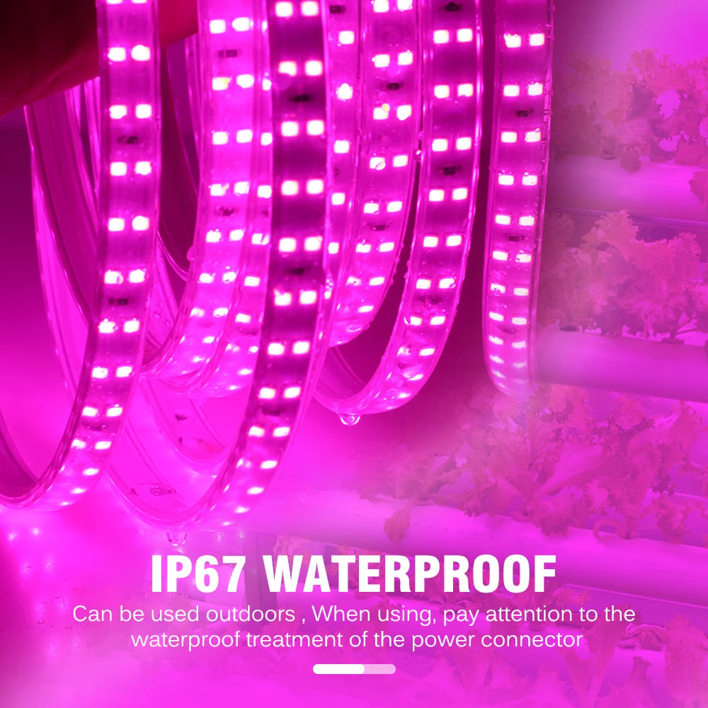 LED Grow Strip Full Spectrum Double Row Lamp Beads LED Grow Light AC220V Phyto Lamp for Plants Flowers Greenhouses Hydroponic