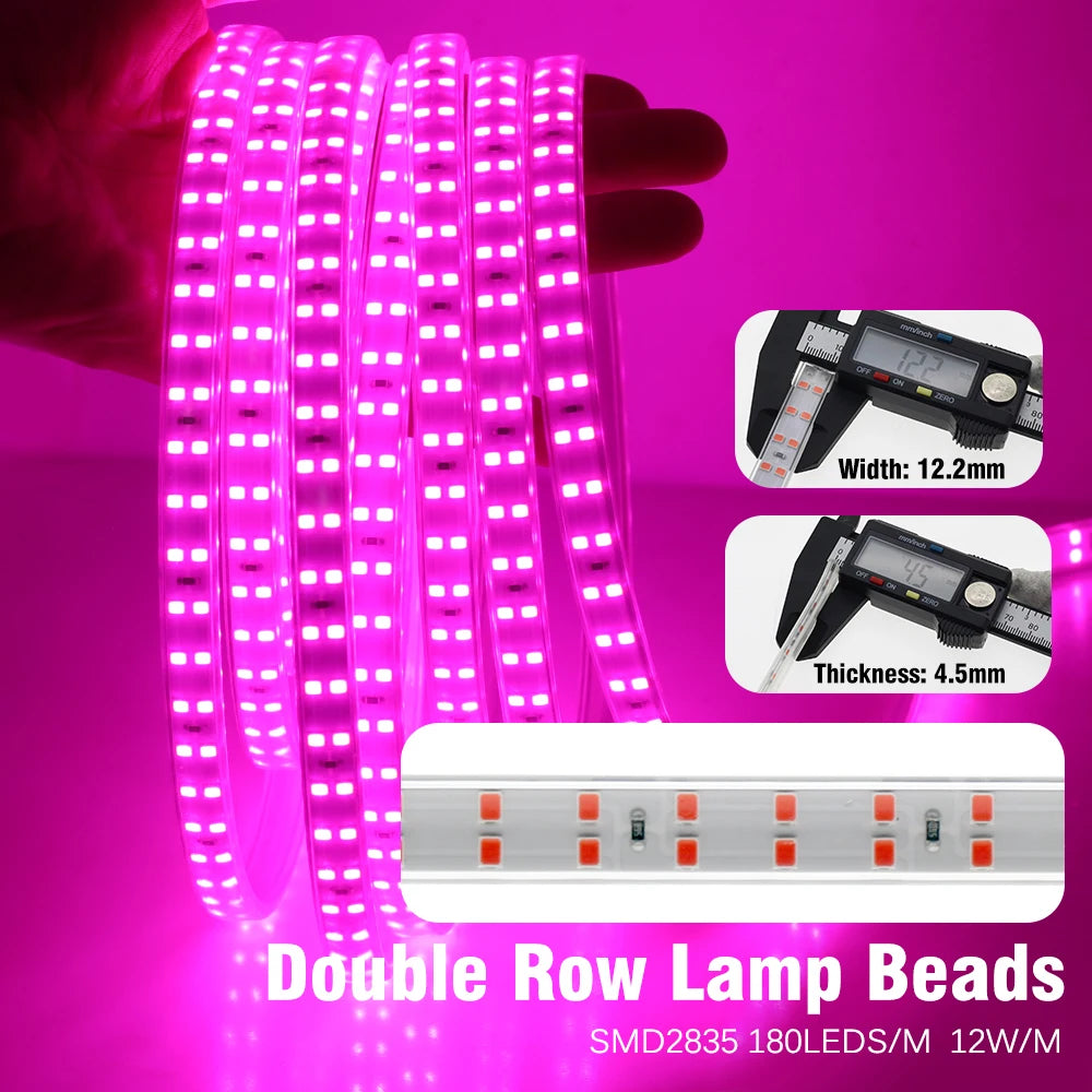 LED Grow Strip Full Spectrum Double Row Lamp Beads LED Grow Light AC220V Phyto Lamp for Plants Flowers Greenhouses Hydroponic